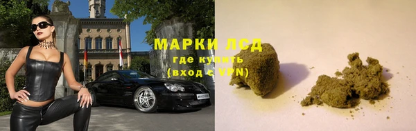 прущие грибы Абдулино