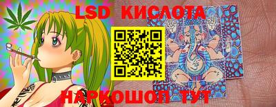 шишки Заволжье