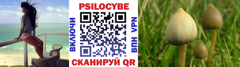 Галлюциногенные грибы мицелий  где можно купить наркотик  Керчь 